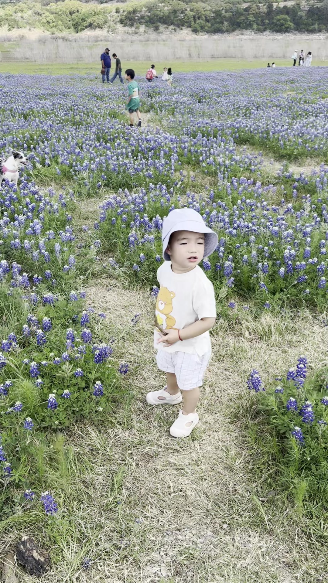 talkv_wzuLWlLCBh_dFKpdtwhAgDnXknCRCGtn1_talkv_high__20260331_152047_e9dfa2