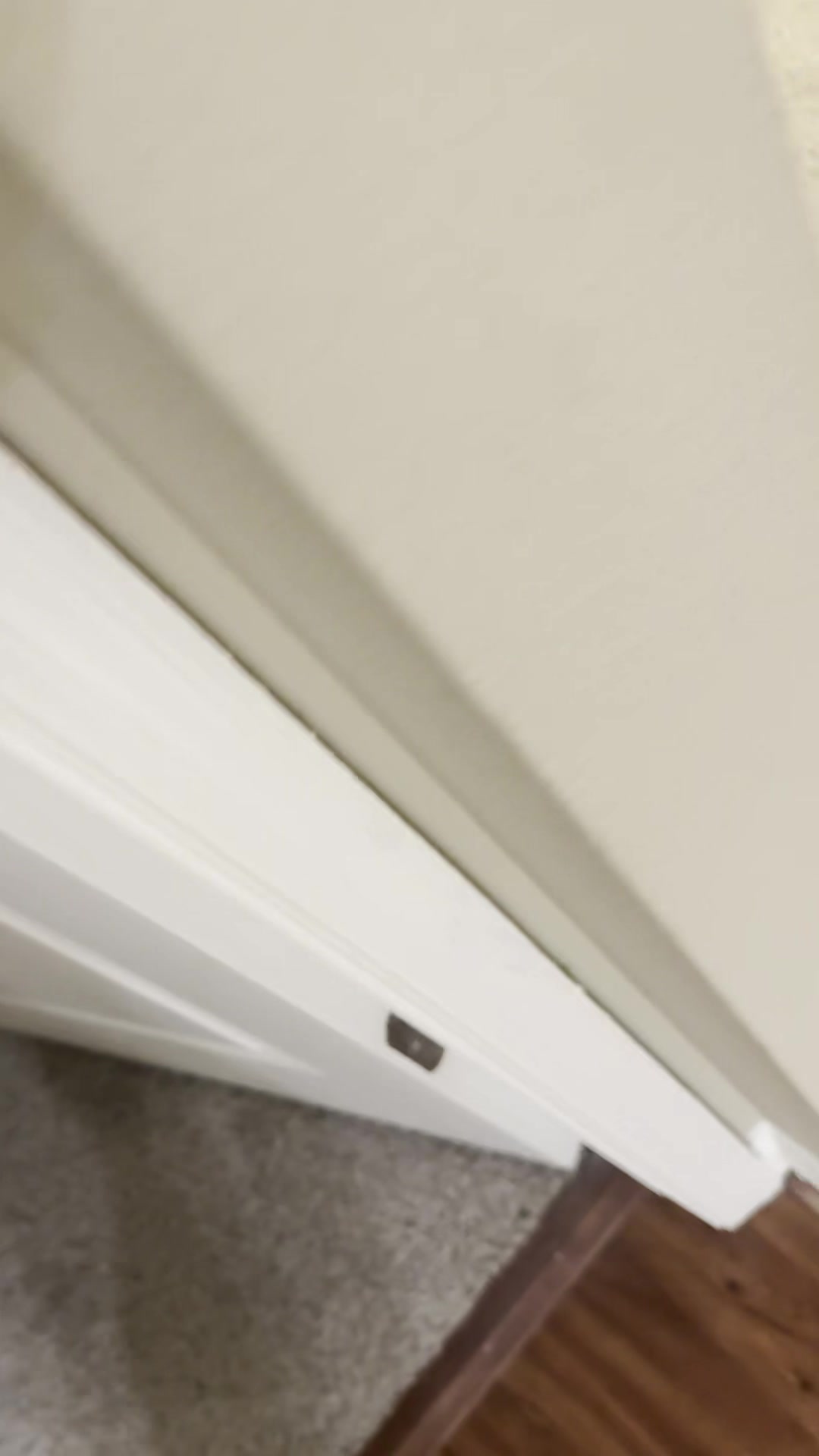 BBJO7126__20260319_225042_817840